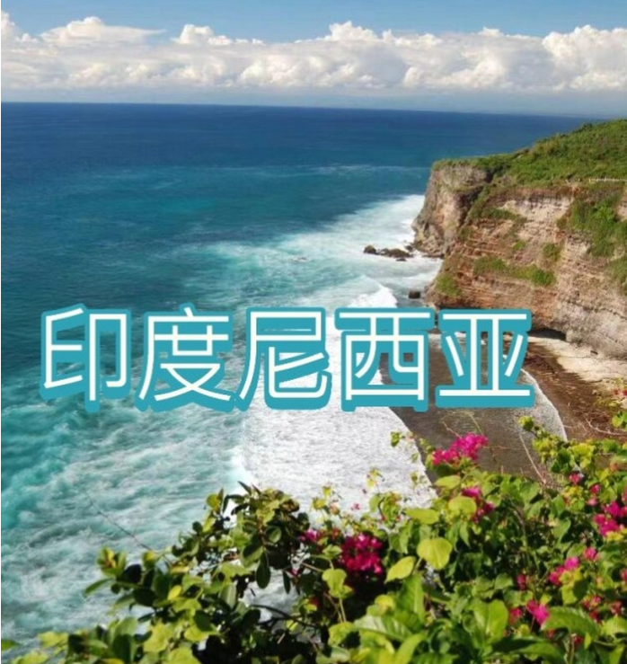 际电商(印尼)产业博览会AG真人2025中国国(图3)