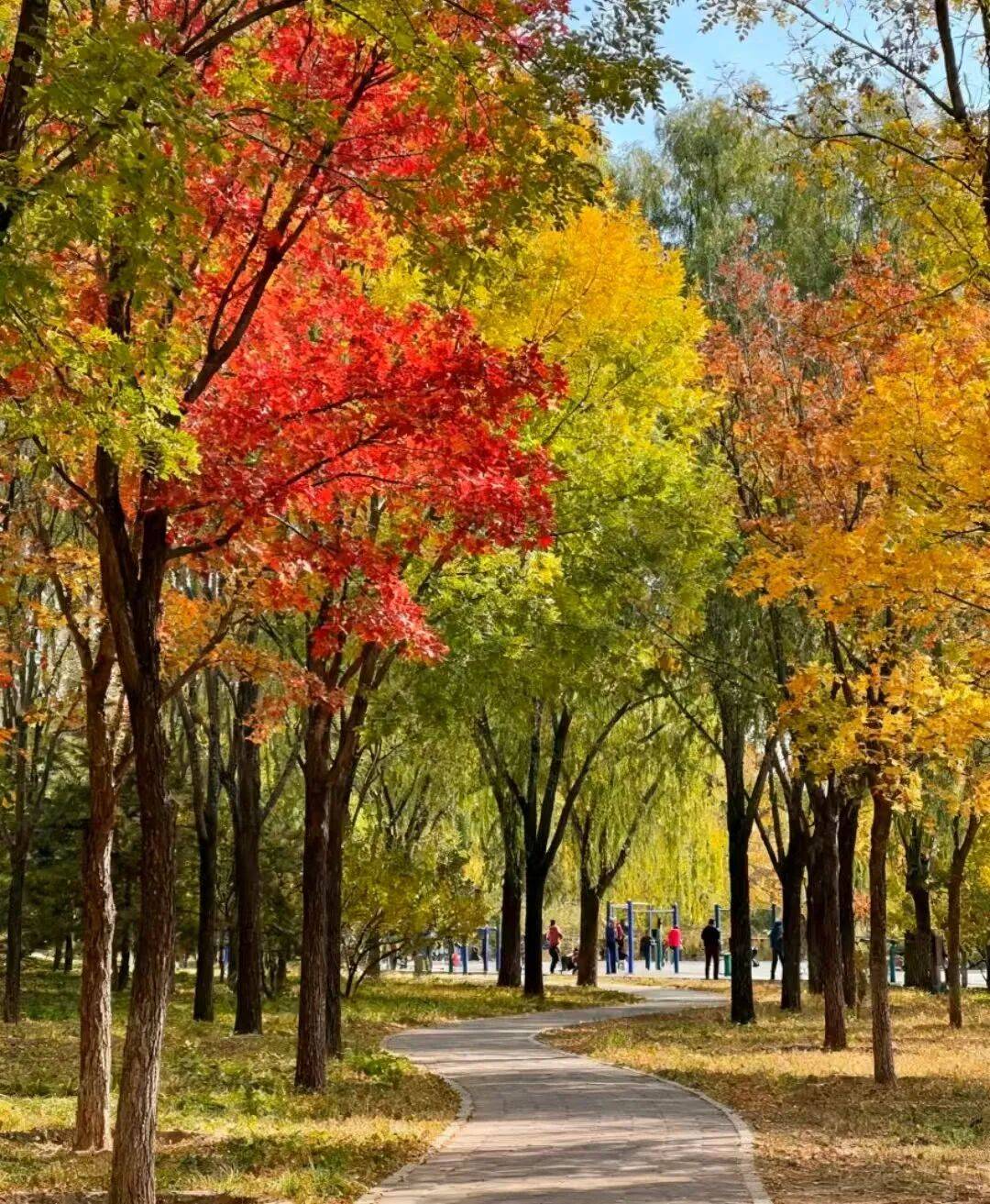 AG真人官网app应急稳如山+全年零投诉