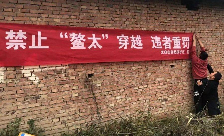 上的“生死劫”AG真人鳌太线(图3)