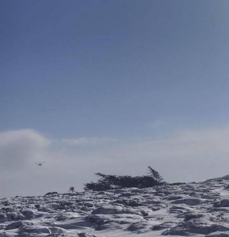 上的“生死劫”AG真人鳌太线(图7)